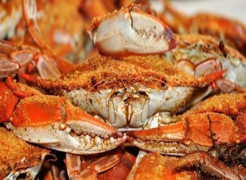 Ocean City Seafood Festival