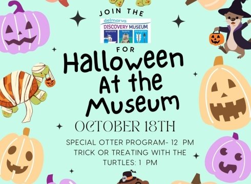 Halloween at the Museum