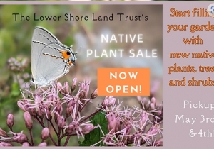 Annual Native Plant Sale