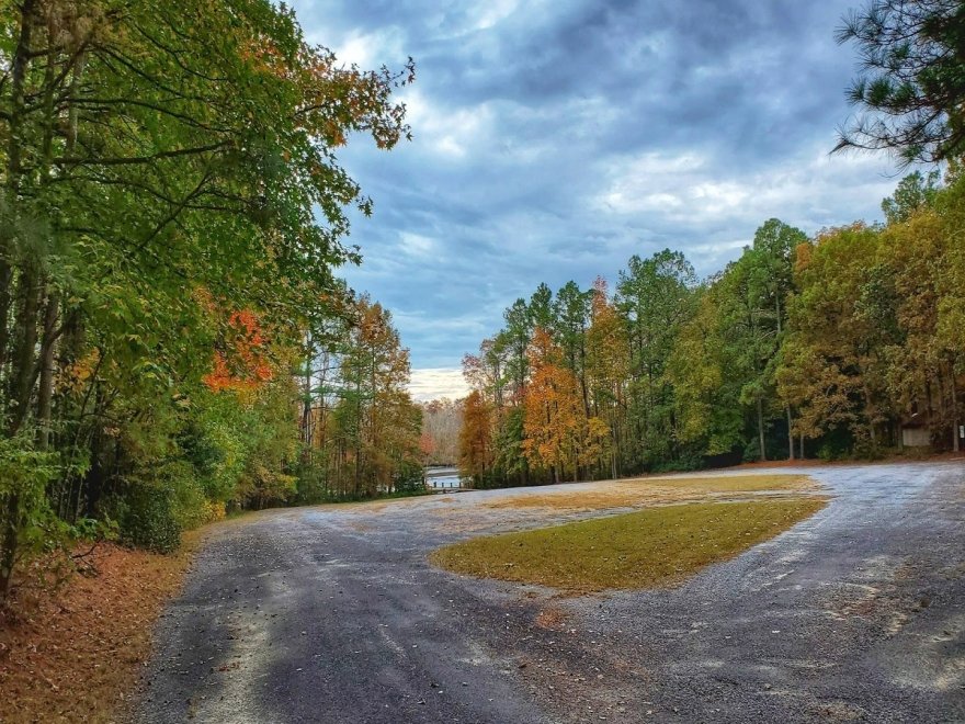 Pocomoke River State Park: Milburn Landing