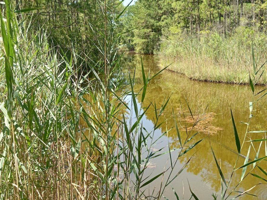 Herring Creek Nature Park