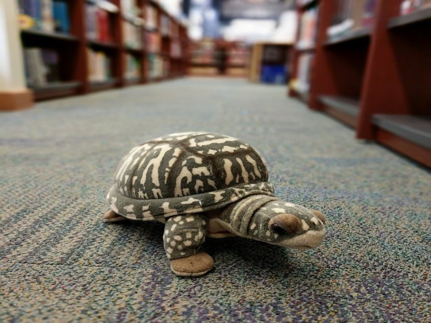 Worcester County Library - Ocean City Branch