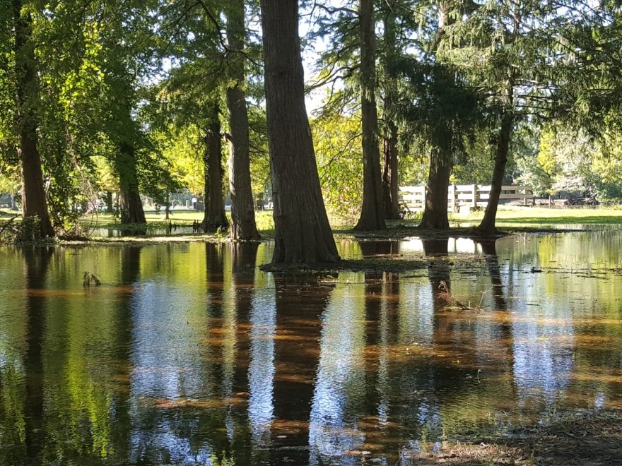 Byrd Park