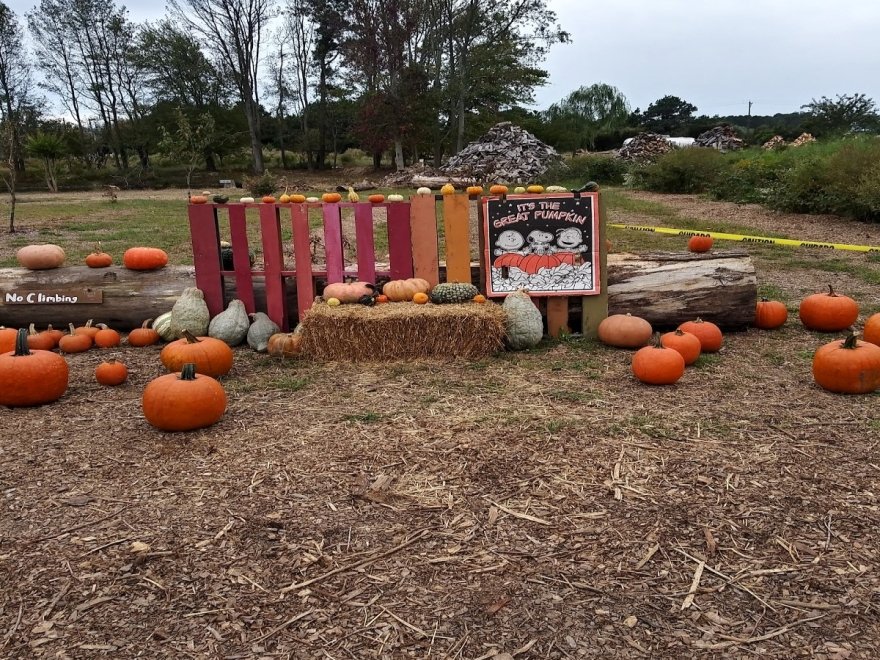 Assateague Farm