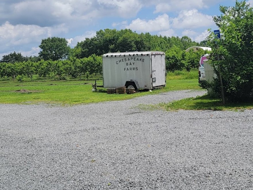 Chesapeake Bay Farms