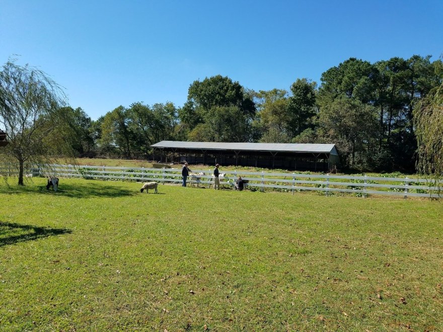 Chesapeake Bay Farms